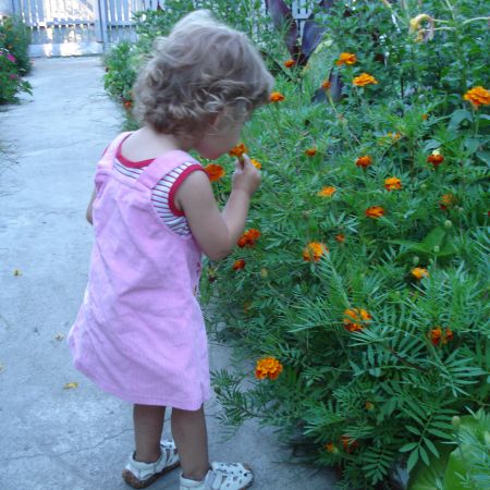 florile mele(mihaela)